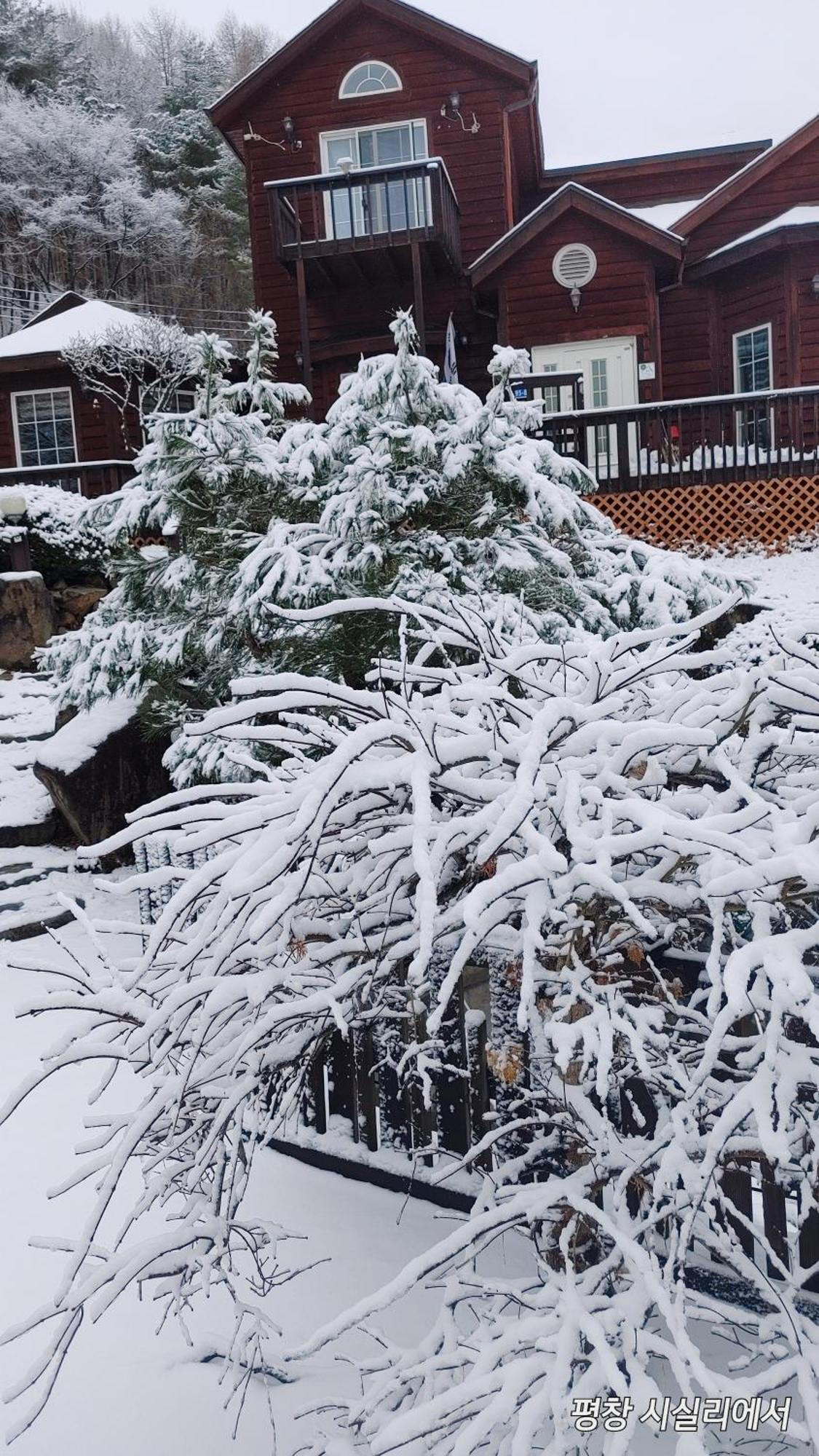 Sisilli Pension Pyeongchang Exteriör bild