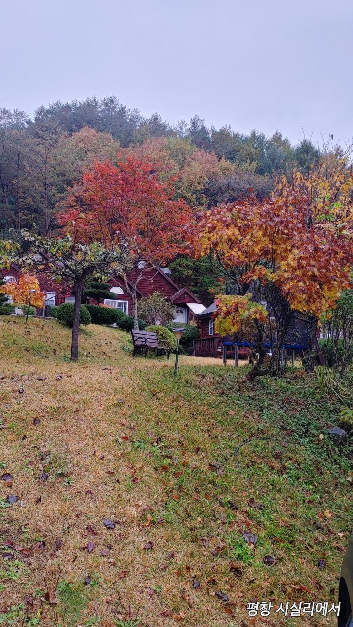 Sisilli Pension Pyeongchang Exteriör bild